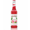 Sirup Monin 700 ml Grapefruit