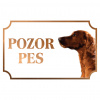 Anglický seter - Kovová tabuľka POZOR PES