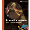 Zvieratá v podzemí kniha s kúzelnou baterkou