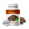 ❤️ MycoMedica CORIOLUS | Trúdnikovec pestrý | Trametes versicolor | 90 kapsúl | AKCIA: ✅ od 2 ks 📉 - 7 % až - 13 % ZĽAVA ❤️ 90 rastlinných kapsúl po 500 mg extraktu ❤️ MycoMedica® - KVALITNÉ Pr