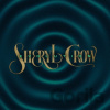 Sheryl Crow: Evolution LP - Sheryl Crow