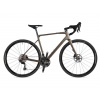 Bicykel Author Guru 1.0 2025