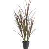 Umelá rastlina tráva Grass Burgundy in plastic pot (green bush UV resistant) 90 cm