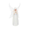 Nemesis Now Socha Anne Stokes Only Love Remains 26 cm