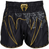 Kraťasy na Muay Thai Venum, SERPENTI MUAY THAI SHORTS čierna,zlatá,sivá XXL