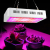 Osvetlenie pre rastliny - AC85-265V 1000W SVETLO NA KULTIVÁCIU LED (Osvetlenie pre rastliny - AC85-265V 1000W SVETLO NA KULTIVÁCIU LED)