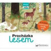 Procházka lesem - následuj cestu - autor neuvedený