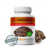 ❤️ MycoMedica CORIOLUS | Trúdnikovec pestrý | Trametes versicolor | 90 kapsúl | AKCIA: ✅ od 2 ks 📉 - 7 % až - 13 % ZĽAVA ❤️ 90 rastlinných kapsúl po 500 mg extraktu ❤️ MycoMedica® - KVALITNÉ Pr