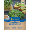 BIO Biela horčica - microgreens - 50 g