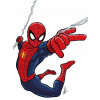 CUKROVÁ TLAČ jedlý obrázok na tortu Cukrová hmota SPIDERMAN Spider-Man #22 + MENO