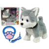 LEAN Toys Plyšový husky Interaktívne vzdelávacie vodítko pre psov Piesne prechádzky