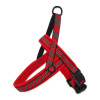 Postroj ACTIVE DOG Neopréne červený M/L