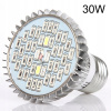 Osvetlenie pre rastliny - Žiarovka pre rast rastlín 30W 40LED E27 (Osvetlenie pre rastliny - Žiarovka pre rast rastlín 30W 40LED E27)