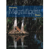 Florida's Magnificent Water