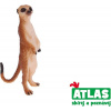 Atlas Surikata 8590331019274