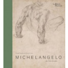 Michelangelo: the last decades