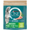 Purina ONE Indoor Formula 800 g