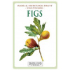 Figs (C Thornton)()