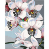 Zuty Diamantové maľovanie NÁDHERNÉ ORCHIDEJE 40x50 cm bez rámu a bez vypnutia plátna