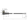 Turck WKC4.4T-2/TXL pripojovací kábel pre senzory - aktory, 6625515, piny: 4, 2 m, 1 ks; 6625515