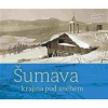 Šumava - krajina pod sněhem - Petr Hudičák, Zdena Mrázková, Špinar Jindřich