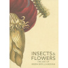 Insects and Flowers - The Art of Maria Sibylla Merian
