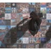 Pink Floyd - A FOOT IN THE DOOR: TH... (11xCD)