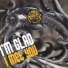 I'm Glad I Met You - Band of Heysek