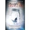 Beautiful Disaster