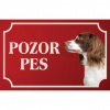 Anglický špringeršpaniel - Kovová tabuľka POZOR PES