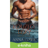 E-kniha Kouzlo lišky - Anna Lowe