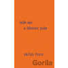 Bůh spí a šílenec píše - Václav Hons