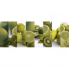 Panel kuchynská linka - FT5657 - Ovocie zelené citrusy 250cm x 43cm - Vliesová fototapeta