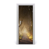 Fototapeta na dvere chodník v lese 75x205
