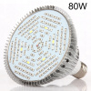Osvetlenie pre rastliny - Žiarovka pre rastúce rastliny 80W 120LED E27 (Osvetlenie pre rastliny - Žiarovka pre rastúce rastliny 80W 120LED E27)