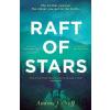 Raft of Stars - Andrew J. Graff