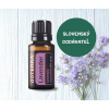 doTERRA LAVENDER (LEVANDUĽA) ESENCIÁLNY OLEJ (15 ml)