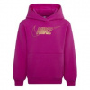Nike kids g nsw club flc hdy shne | 0196327632618 | Fialová | 98-104 CM