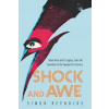 Shock and Awe - Simon Reynolds