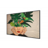 55'' D-LED Philips 55BDL4511D-UHD,VA,500cd,MP,24/7