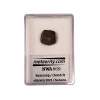 Meteority Meteorit NWA 869 - Chondrit