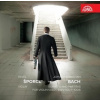 Šporcl Pavel - Bach / Sonatas And Partitas for violin solo / 2CD [2 CD]