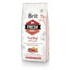 Brit Dog Fresh Beef & Pumpkin Puppy Large 12 kg