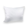 Péřový polštář PREMIUM 70x90 cm 1100 g bílý