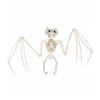 Kostra netopiera Smiffys SF46912 72 cm