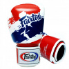 Boxerské rukavice Fairtex BGV1 12 oz