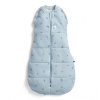 ERGOPOUCH Zavinovačka a vak na spanie 2v1 Cocoon Dragonflies 0-3 m, 3-6 kg, 2,5 tog