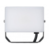HOROZ Svietidlo LED reflektorové Pegasus HL0680240010 10W 6400K IP65