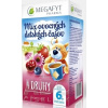 MEGAFYT MIX ovocných detských čajov 4 DRUHY - (od ukonč. 6. mesiaca) 20x2 g