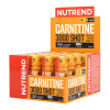Karnitin Nutrend Carnitine 3000 SHOT 20x60 ml ananás
